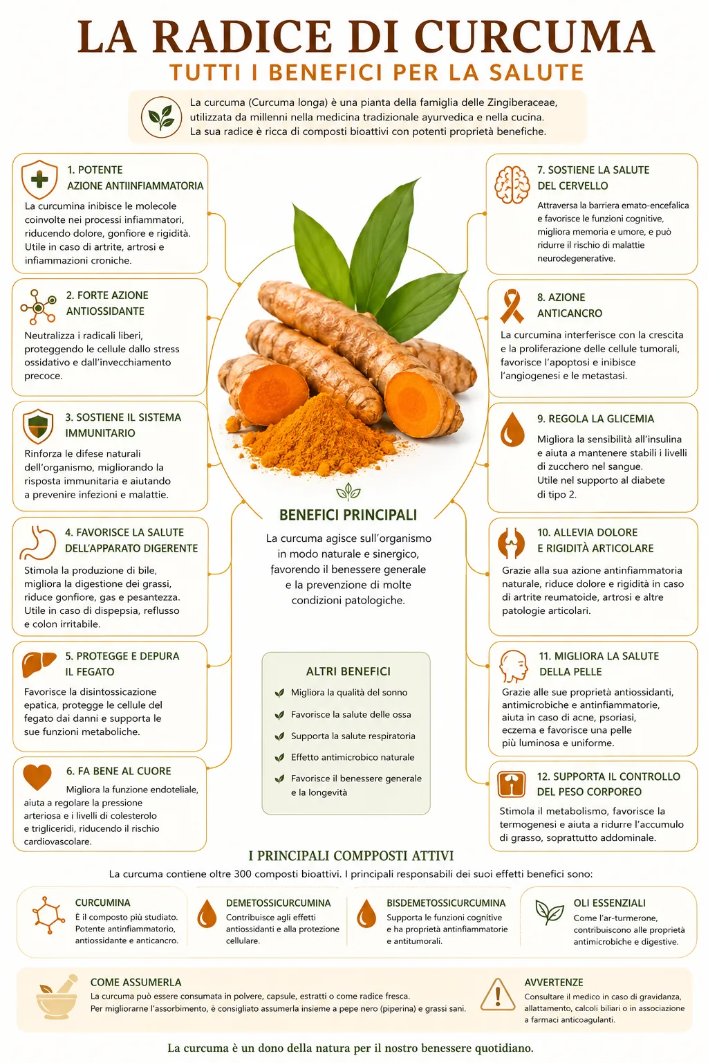Diagramma dei benefici e delle azioni della curcuma