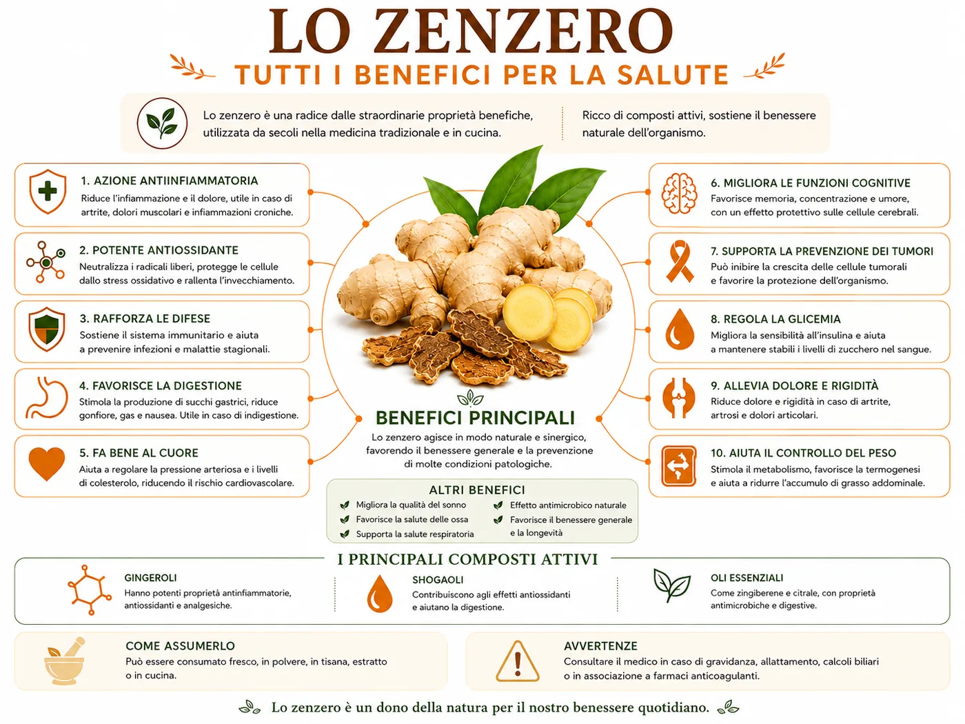 Diagramma dei benefici dello zenzero